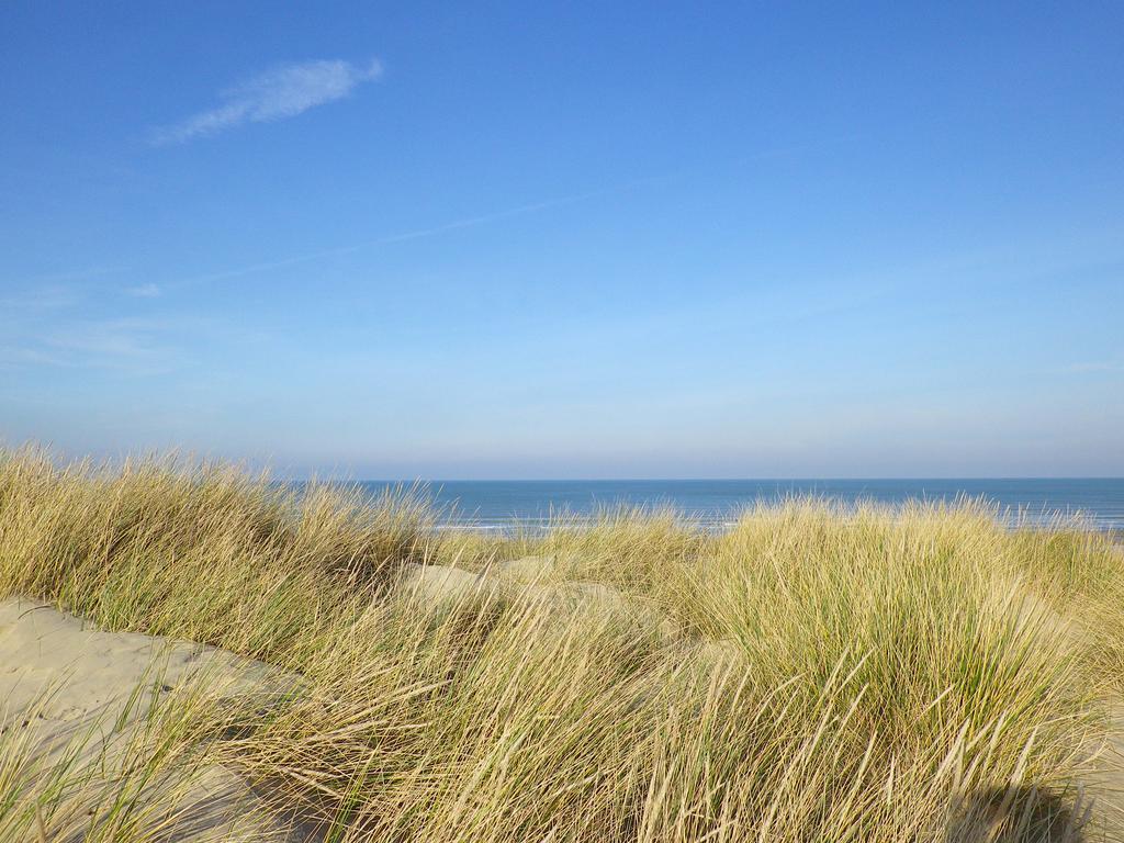 Evancy La Brise Des Dunes Bray-Dunes Exterior foto